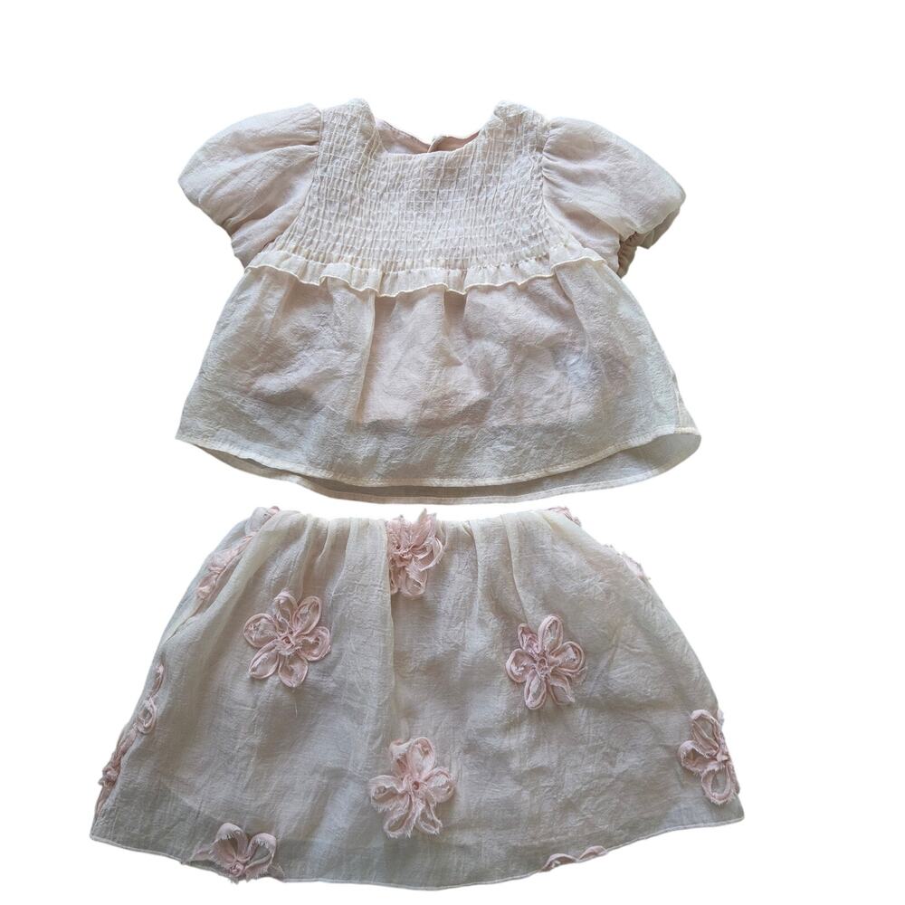 Zara Pink Top + Skirt Set